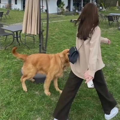 戴维