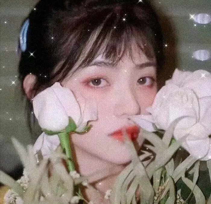 巴里穆迪