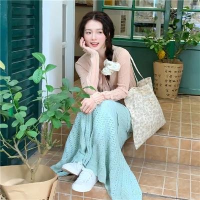 警察与女兵国语